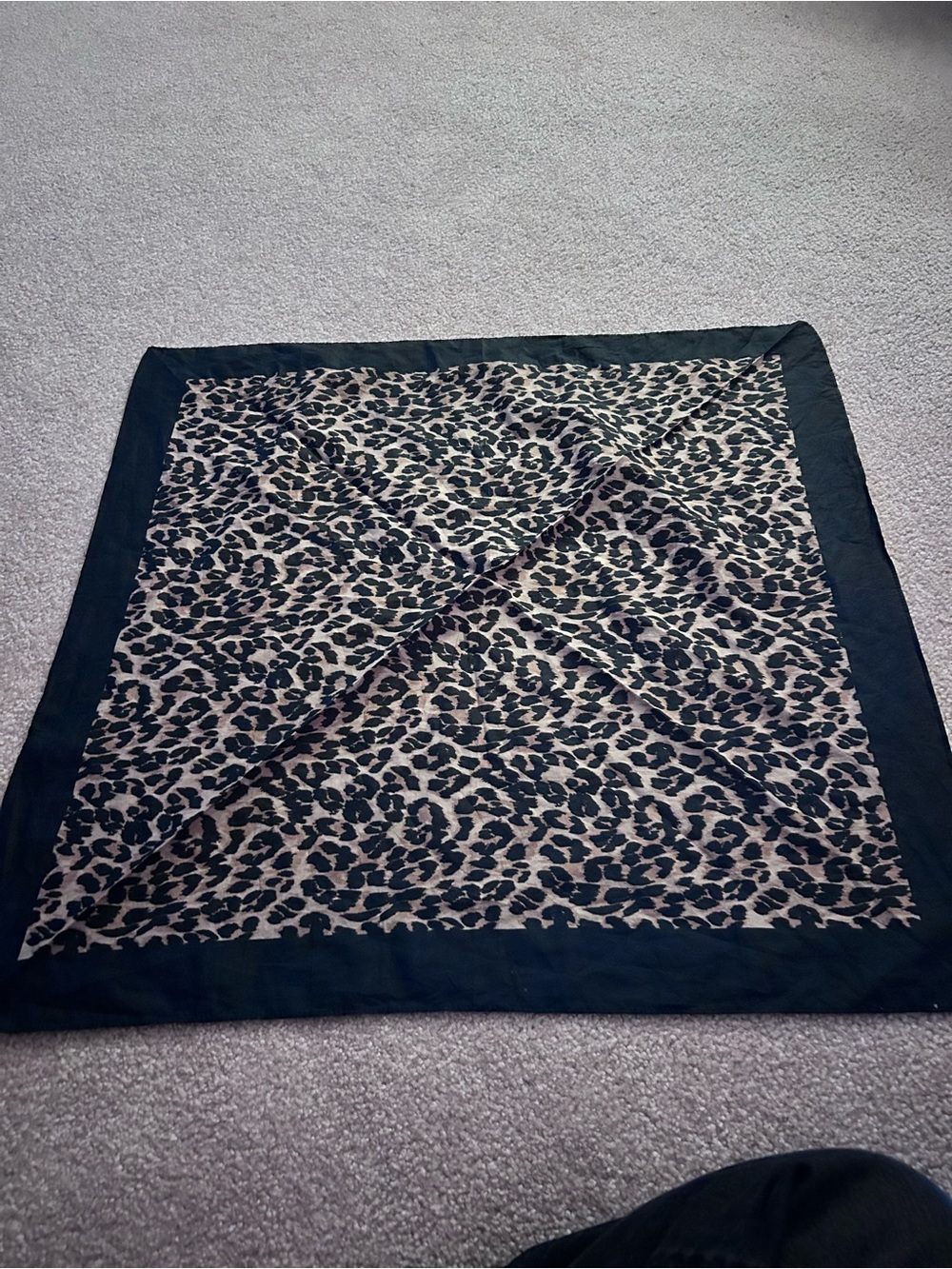 American Eagle Outfitters Leopard Print Accent Throw with Black Trim